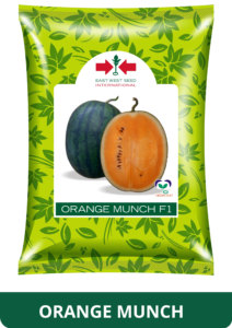 Orange Munch