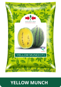 yellow-munch copyspng